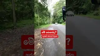 #srilanka #100 #trending #travel #satisfying #gosip #nature