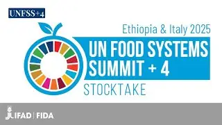 UNFSS+4: Where do we stand on the financing of food systems?