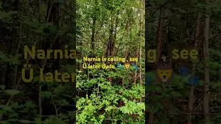 Narnia is calling me back home #creativity#documentary #lion #magic #mythical#oneness#lovestory