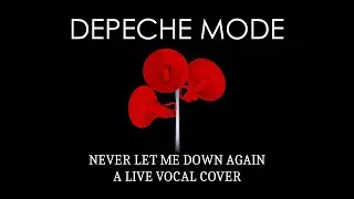 Live Vocal Cover of Depeche Mode - Never Let Me Down Again
