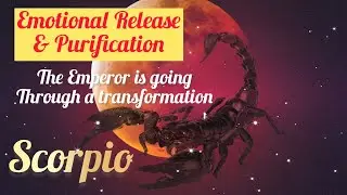 SCORPIO: HEART TO HEART CONVERSATION. Express your feelings. Worth waiting for. (Not for you)