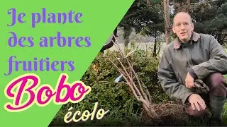 Je plante des arbres fruitiers