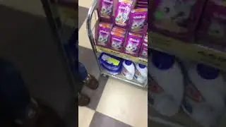 Happy meal Для кисочек. Спасибо всем за участие в кормёжке. Спасибо за донаты