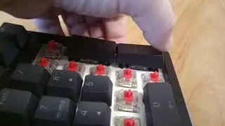Akko x Ducky 3108s RGB Stabilizer (2)