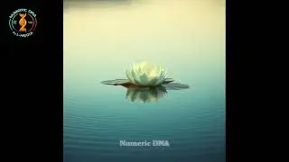 Numeric - DNA - Oriental Deep House - track - 027