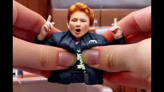 Pauline Hanson therapy. All parody,&nbsp; #funny #auspol One Nation