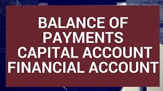 Balance of Payments: Capital and Financial Accounts