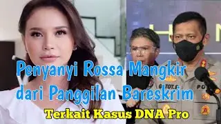 Kasus DNA Pro, Rossa mangkir panggilan Bareskrim #robottrading  #dnapro