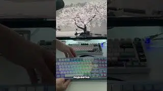 Распаковка клавиатуры Epomaker x Feker galaxy 80 #keyboard #unboxing #setup ￼