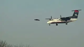 Friday Fails