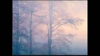 [FREE] Acoustic Guitar Type Beat (Lo-fi/Ambient) - Steady