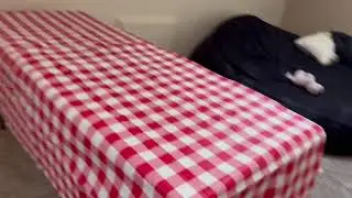 Durable, Easy to Clean Tablecloth You Will Love!
