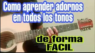 Como aprender adornos en todos los tonos de forma facil