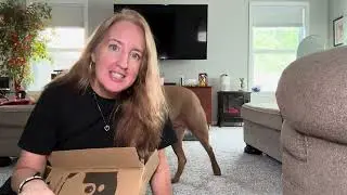 Elevated Dog Bed, Raised Outdoor Dog Bed for Large Sized Dog, Portable Cooling Pet Cot | Review