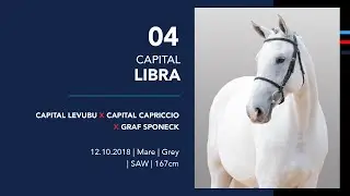04 CAPITAL LIBRA (Capital Levubu x Capital Capriccio x Graf Sponeck)