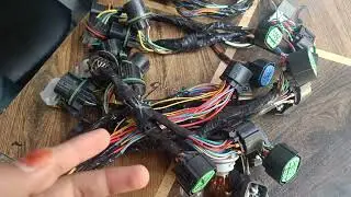 all car headlight upgrade coupler to coupler ready Delhi mayapuri #modified #cars
