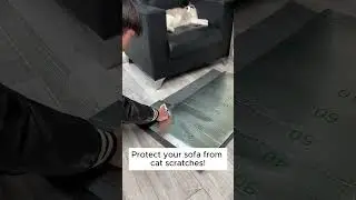 Save Your Sofa! Best Cat Scratch Protector #cat