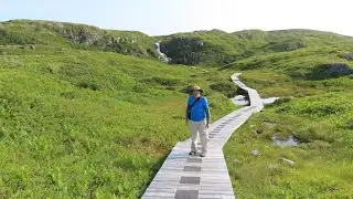 Barachois Falls Hiking Trail - Rose Blanche, NL