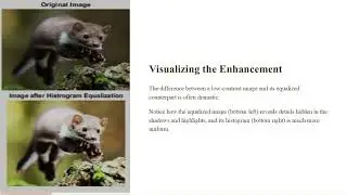 Histogram Equalization for Image Enhancement | Manual Calculation | Python Code & Explanation
