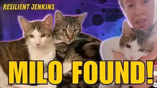 Resilient Jenkins Cat Milo Has Been Found & It's SO BAD!!! 😭 | RECAP