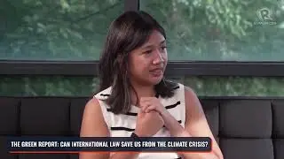 Why are companies buying carbon credits?