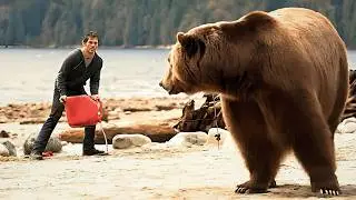 Into the Grizzly Maze Movie Recap (2015) | Into the Grizzly Maze Movie Summary