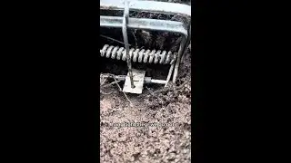 Sandy Soil Trap Setting #shorts