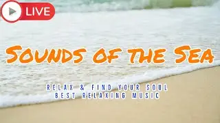 🔴 Relaxing Music 24/7, Stress Relief Music, Sleep Music, Meditation Music, Study, Calming Music,
