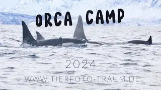 ORCA CAMP 24