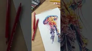 Make new wave of creativity with @jj_illus and Albrecht D&uuml;rer Watercolour Pencils! ​#FaberCastell