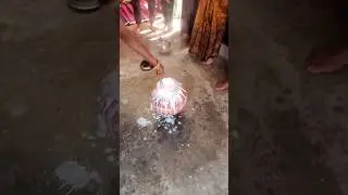 Rajasthani Parampara  #youtubeshorts #rajasthan #sadi #parmpara