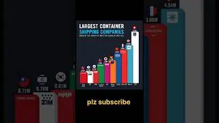 largest conatiner shiping companies#yangming#shipping#zim #hmm#one#cosco #msc#chacgm#short#conatiner