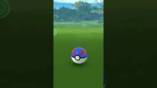 Field research task shiny in Pokemon Go