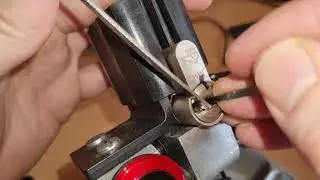M&C Condor SKG3 - picked and gutted [4K]