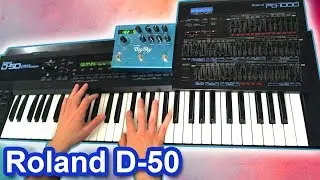 ROLAND D-50 + Strymon Big Sky = Ambient Chillout Music【SYNTH DEMO】