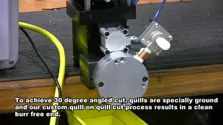 Vertically Oriented Cut to Length System