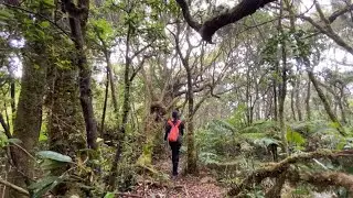 Mt. Irid Dayhike + Side Trip to Kinabuan Falls (Highest Peak in Rizal) ⛰️