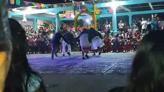 Destape de xantolo en tecacahuaco con cuadrillas 👀👌🏻