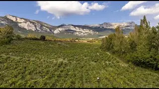 Aiurri a vista de &aacute;guila (2025)