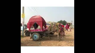 Pushkar 2019