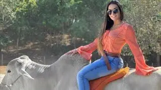 chicote de aço / duas músicas top #vaquejada #musica #vídeo
