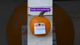 Organize your fall chaos with custom sticky notes 🍁✅