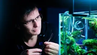 ADA Workshop Aquascape - CALM MAINTENANCE Session | Monday Maintenance Movies