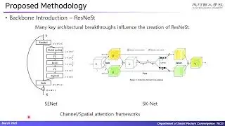 RDD-Net: Randomized Joint Data-Feature Augmentation and Deep-Shallow Feature Fusion Networks
