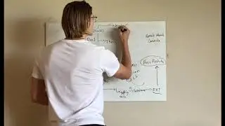 Sex Determinate Hormones