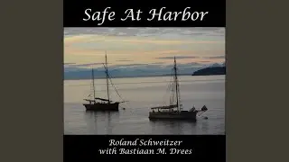 Safe at Harbor