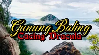The Magnificent of Gunung Baling || After TMB100