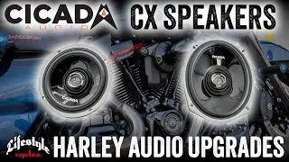 Звуковая система Cicada: динамики CX &mdash; Harley Audio