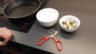 Ножницы для вскрытия перепелиных яиц