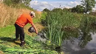 Сделаем маленький пруд снова прекрасным